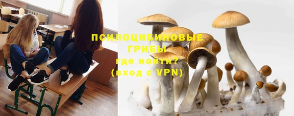 молекула духа Нефтекумск