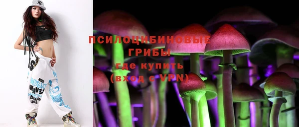 молекула духа Нефтекумск