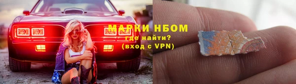 прущие грибы Нея