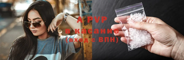 прущие грибы Нея