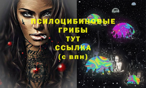ГАЛЛЮЦИНОГЕННЫЕ ГРИБЫ Нефтегорск