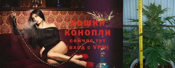 прущие грибы Нея