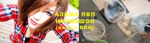 молекула духа Нефтекумск
