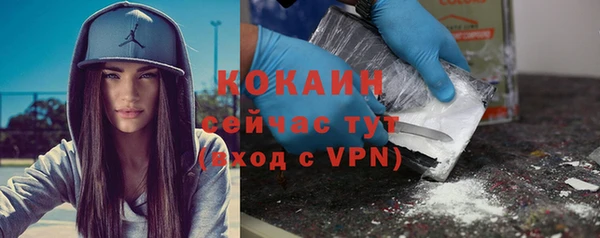 прущие грибы Нея