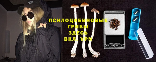 ГАЛЛЮЦИНОГЕННЫЕ ГРИБЫ Нефтегорск