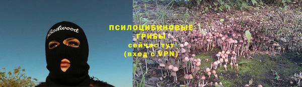 прущие грибы Нея